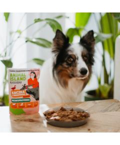 ANIMAL ISLAND Monoproteinowa kaczka karma dla psa 9x300g Suņu barība