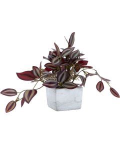 Artificial plant GREENLAND H18cm zebra flower in a square pot Jaunumi, mēbeles, māja