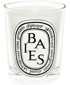 Diptyque Baies Scented Candle 70 g Telpu aromāti