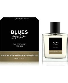 Alkotest MELODY Blues Amber Men EDT spray 100ml Vīriešu Smaržas