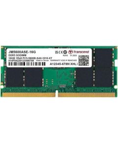 TRANSCEND 16GB JM DDR5 5600 SO-DIMM 1Rx8 Оперативная память (RAM)
