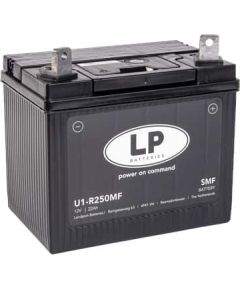 22Ah 250A akumulators LANDPORT Garden 196x132x185mm -+ Аккумуляторы