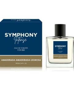 Alkotest MELODY Symphony Intense Men EDT spray 100ml Vīriešu Smaržas