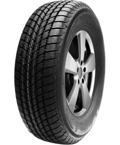 Mastersteel Winter + 195/45R16 84H Ziemas riepas