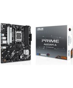 ASUS PRIME A620AM-A-CSM - Socket AM5 - motherboard Материнские платы