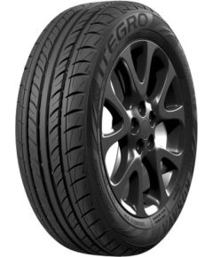 Rosava Itegro 195/55R16 87V Летние Покрышки