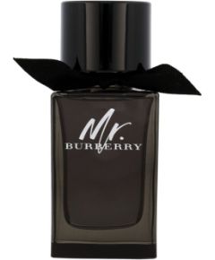 Mr. Burberry 100ml Vīriešu Smaržas