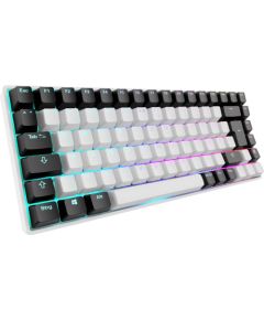 Sharkoon SKILLER SGK50 S3 (white, DE layout, Gateron Yellow) Klaviatūras