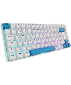 Sharkoon SKILLER SGK50 S3 PBT (white/light blue, DE layout, Gateron G Pro 3.0 Yellow) Klaviatūras