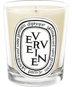 Diptyque Verveine Scented Candle 70 g Ароматы для дома и комнаты