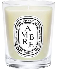 Diptyque Ambre Scented Candle 70 g Ароматы для дома и комнаты