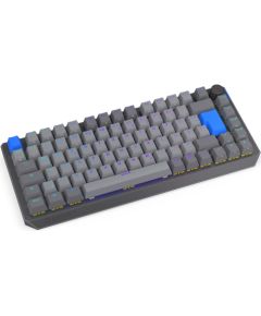 Thock V2 75% Wireless (gray, DE layout, ENDORFY Yellow by Gateron) Klaviatūras