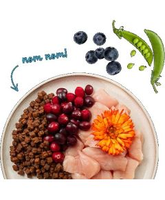 BOSCH Sanabelle Kitten Kurczak 2kg Kaķu sausā barība