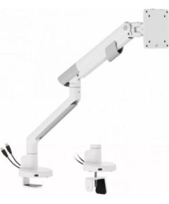 Uchwyt biurkowy do monitora ART RAMM L-29GD LED/LCD 17-35" 2-11kg 2xUSB 3.0 Premium White Крепления для телевизоров