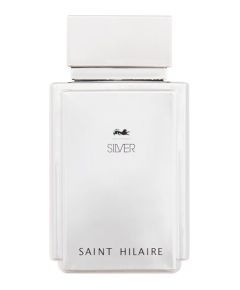 Silver 100ml Vīriešu Smaržas