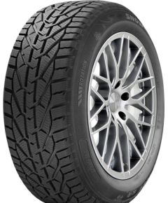 Riken Snow 195/55R16 87H Зимние покрышки