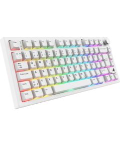 SKILLER SGK55W (white, DE layout, Sharkoon Linear) Клавиатуры