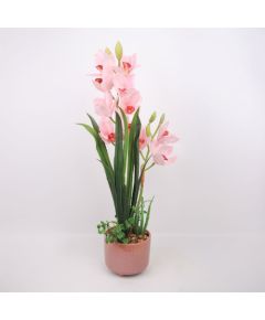 Orhideja GARDEN QUEEN H70cm, gaiši rozā Jaunumi, mēbeles, māja