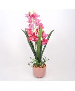 Orhideja GARDEN QUEEN H70cm, tumši rozā Jaunumi, mēbeles, māja