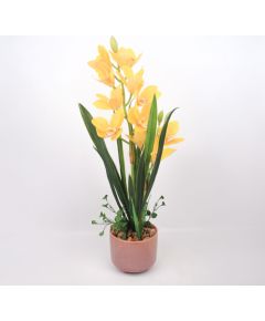 Orhideja GARDEN QUEEN H70cm, dzeltena Jaunumi, mēbeles, māja