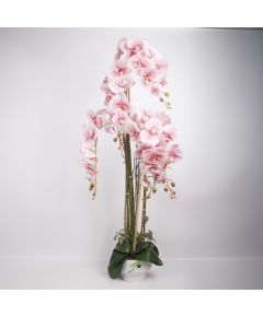 Orhideja GARDEN QUEEN H124cm, gaiši rozā Jaunumi, mēbeles, māja