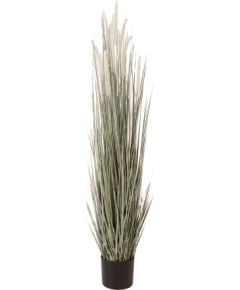 Mākslīgais augs GREENLAND H120cm podiņā Jaunumi, mēbeles, māja