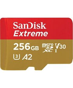 SanDisk Extreme SDXC 256 GB UHS-I/U3 V30 (SDSQXAV-256G-GN6GN) Новинки Компьютерная техника