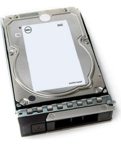 SERVER HDD 12TB 7.2K NLSAS/3.5'' 14GEN 161-BCJX DELL Serveru komponentes