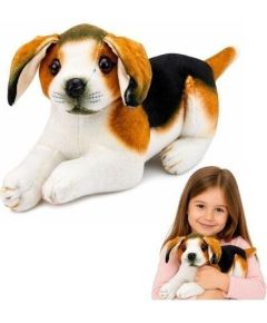 LeanToys Pluszowy Piesek Beagle Przytulanka Maskotka Pluszak Pies Miękki 25 cm Mīkstās rotaļlietas