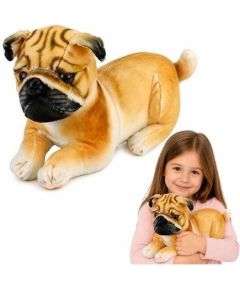 LeanToys Pluszowy Piesek Mops Przytulanka Maskotka Pluszak Pies Miękki 25 cm Mīkstās rotaļlietas