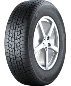 Gislaved Euro Frost 6 205/55R16 91H Зимние покрышки