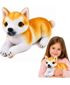 LeanToys Pluszowy Piesek Shiba Inu Przytulanka Maskotka Pluszak Pies Miękki 25 cm EDUKAMP Мягкие игрушки