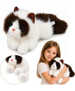LeanToys Pluszowy Kot Perski Maskotka Obciążeniowe Łapki Brązowo-Biały 50cm EDUKAMP Mīkstās rotaļlietas