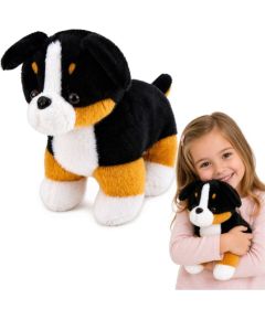 LeanToys Pluszowa Maskotka Miękki Piesek Przytulanka Pies Berneński 30x30 cm EDUKAMP Mīkstās rotaļlietas