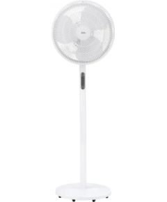Jata JVVP3062 Вентиляторы