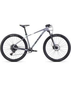 Bike CTM Rascal 1.0 29" Kalnu velosipēdi (MTB)