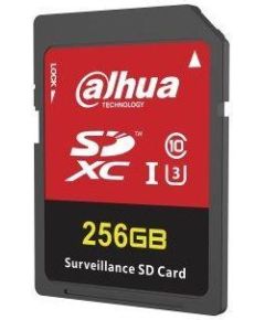 Dahua Technology H100 SDXC 256GB CLASS 10 U3 Карты памяти