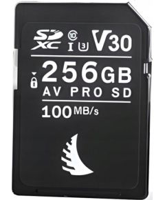Angelbird AV Pro SDHC 256 GB UHS-I/U3 V30 (AVP256SDV30) Atmiņas kartes micro SD SDHC