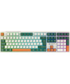KLAVIATŪRA CANYON keyboard Shadder GKW-11 Mech RGB UK/US Wireless White Klaviatūras