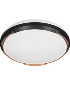 Activejet LED ceiling light AJE-PETRUS 24W Griestu lampas - šķīvji