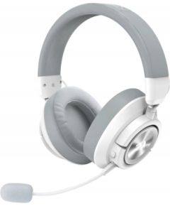 Austiņas Redragon H889WG Austiņas