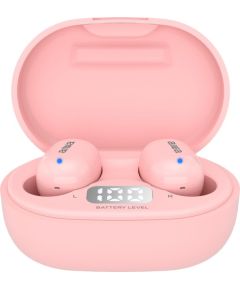 Austiņas Aiwa EBTW-150PK Austiņas
