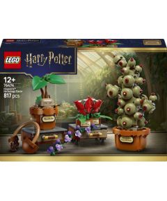 LEGO Harry Potter Rośliny z lekcji zielarstwa w Hogwarcie (76474) Новости - Детские товары