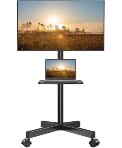 TV mount 23-60" Perlesmith PSTVMC06 TV un monitoru stiprinājumi, kronšteini