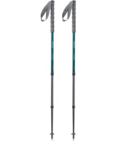 Pinguin Fastrail TL Foam / Zila / 66 - 130 cm Нордическая ходьба