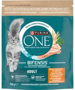 Purina One Mini Active bogata w kurczak z ryż 750g Сухой корм для кошек
