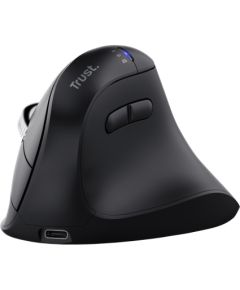 Trust Vyran mouse Universal Right-hand RF Wireless + Bluetooth Optical 4800 DPI Peles, ievadierīces