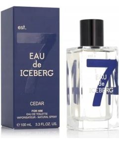Iceberg Iceberg, Eau De Iceberg Cedar, Eau De Toilette, For Men, 100 ml For Men Мужская парфюмерия