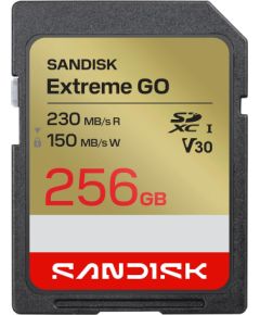 MEMORY SDXC 256GB UHS-I/SDSDXGN-256G-GNCIN SANDISK Карты памяти