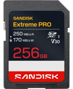 MEMORY SDXC 256GB UHS-1/SDSDXXJ-256G-GSCIN SANDISK Atmiņas kartes micro SD SDHC